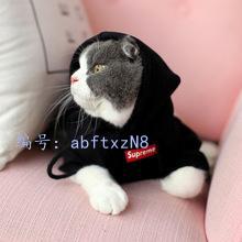 ȼ