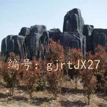 ζ