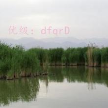 ó