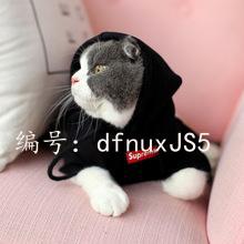 չ滮