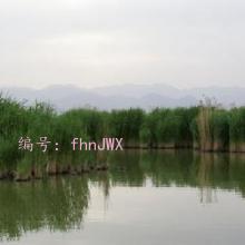 Ͻ
