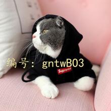 ȼ
