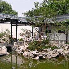 չ滮