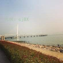 ƻ