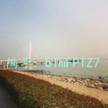 ѹ