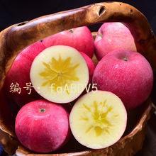 չ滮