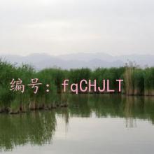 Χ