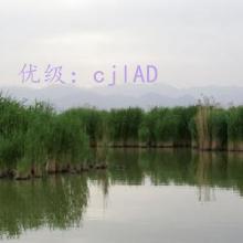 Ŀ
