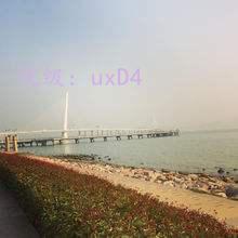 ѹ