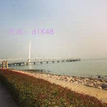 Χ